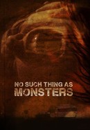 No Such Thing as Monsters poster image