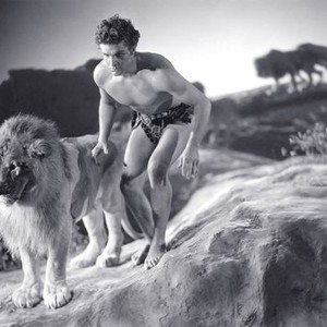 King Of The Jungle 1933 Rotten Tomatoes