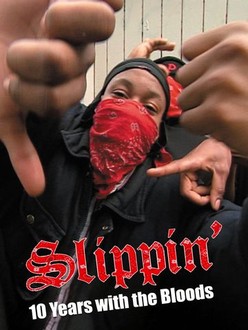 Slippin': Ten Years With the Bloods | Rotten Tomatoes