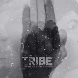 The Tribe - Rotten Tomatoes