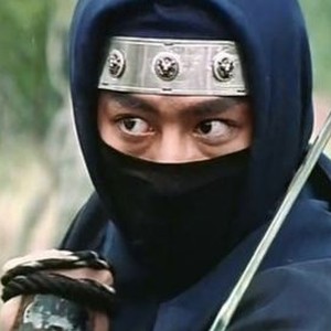 Ninja in the Dragon's Den (1982) photo 4