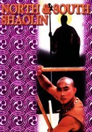 North and South Shaolin poster image