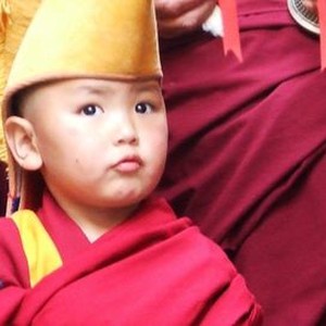 Unmistaken Child (2008) photo 8