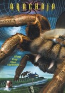 Arachnia poster image