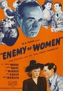 Enemy of Women poster image