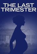 The Last Trimester poster image