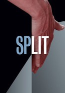 Split poster image