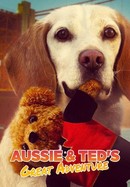 Aussie & Ted's Great Adventure poster image