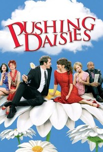 Watch trailer for Pushing Daisies