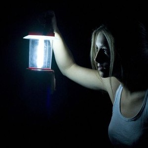 The Silent House (2010)