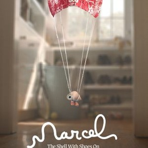 Marcel the Shell with Shoes On photo 19