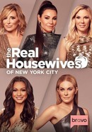 The Real Housewives of New York City poster image