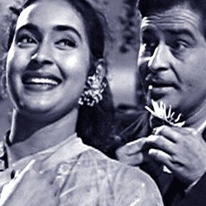 Anari Rotten Tomatoes