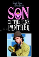 Son of the Pink Panther poster image