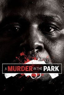 Poster for A Murder in the Park