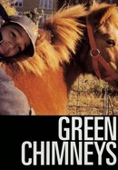 Green Chimneys poster image
