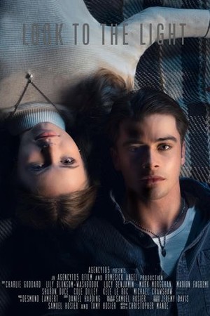 Look to the Light poster
