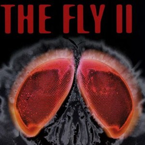 The Fly II photo 5