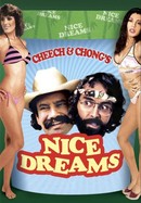 Cheech & Chong's Nice Dreams poster image