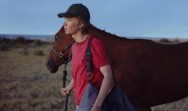 Ready Player One” and “Lean on Pete”