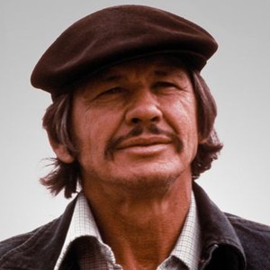 Mr. Majestyk (1974) photo 1