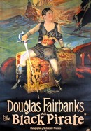 The Black Pirate poster image