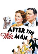 After the Thin Man poster image