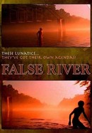 False River poster image