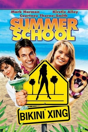 Summer School poster