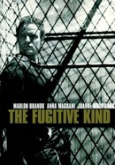 The Fugitive Kind poster image