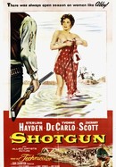 Shotgun poster image