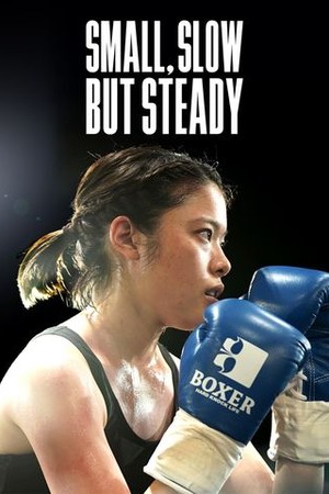 Small, Slow But Steady poster