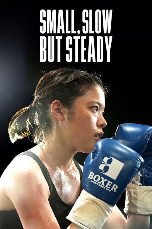 Small, Slow But Steady poster
