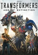 Transformers: Age of Extinction poster image