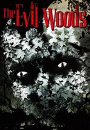 The Evil Woods poster image