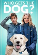Who Gets the Dog? poster image