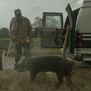 A scene from "Mr. Pig." photo 12