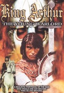 King Arthur: The Young Warlord poster image
