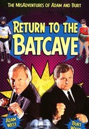 Return to the Batcave: The Misadventures of Adam and Burt poster image