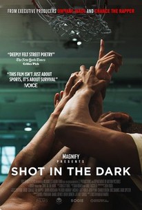 Poster for Shot in the Dark