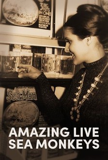 Amazing Live Sea Monkeys | Rotten Tomatoes