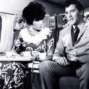 Paradise, Hawaiian Style (1966) photo 7