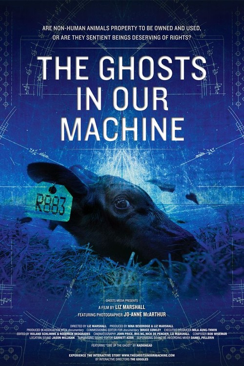 The Ghosts in Our Machine poster
