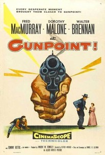 At Gunpoint (Gunpoint!)