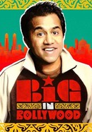 Big in Bollywood poster image