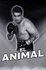 Poster for 