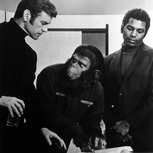 CONQUEST OF THE PLANET OF THE APES, Don Murray, Roddy McDowall, Hari Rhodes,  1972, TM and Copyright (c) 20th Century Fox Film Corp. All Rights Reserved.