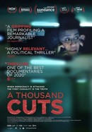 A Thousand Cuts poster image