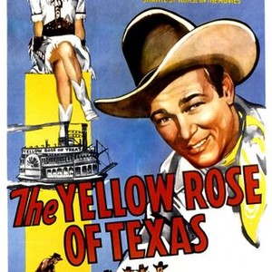 The Yellow Rose of Texas photo 9