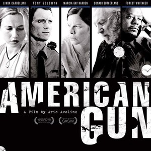 American Gun photo 10